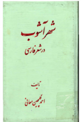 شهرآشوب در شعر فارسی