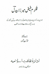 قلزم فیض میرزا بیدل (بیسویں اور اکیسویں صدی میں ابوالمعانی مرزا عبدالقادر بیدل پر لکھے گئے نادر و وقیع اردو مقالات کا نمائندہ انتخاب)